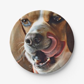 Funny Hungry Beagle Hound Dog Paper Plates by WackemArt at Zazzle