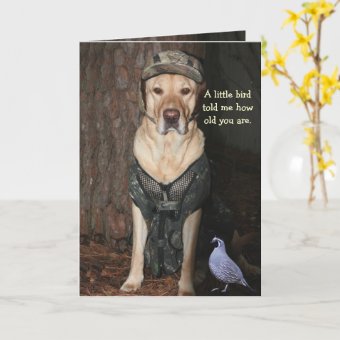 Funny Hunting Lab Birthday Card | Zazzle