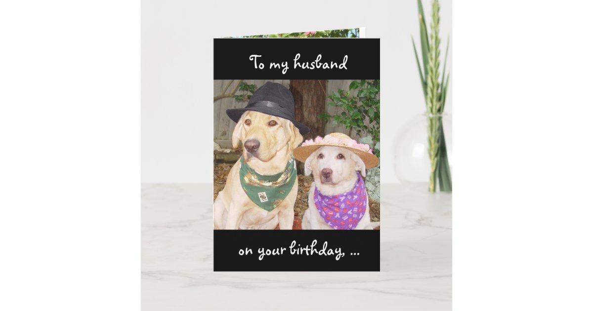 Funny Husband Birthday Card  Zazzle.com