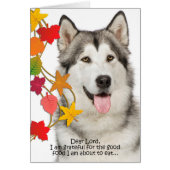 Funny Husky Thanksgiving Card (Front)