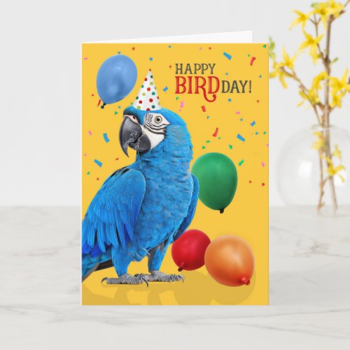 Funny Hyacinth Macaw Parrot Birthday Humor