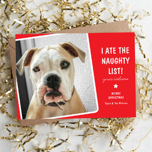 Funny I ate the Naughty List Cute Dog Holiday Card