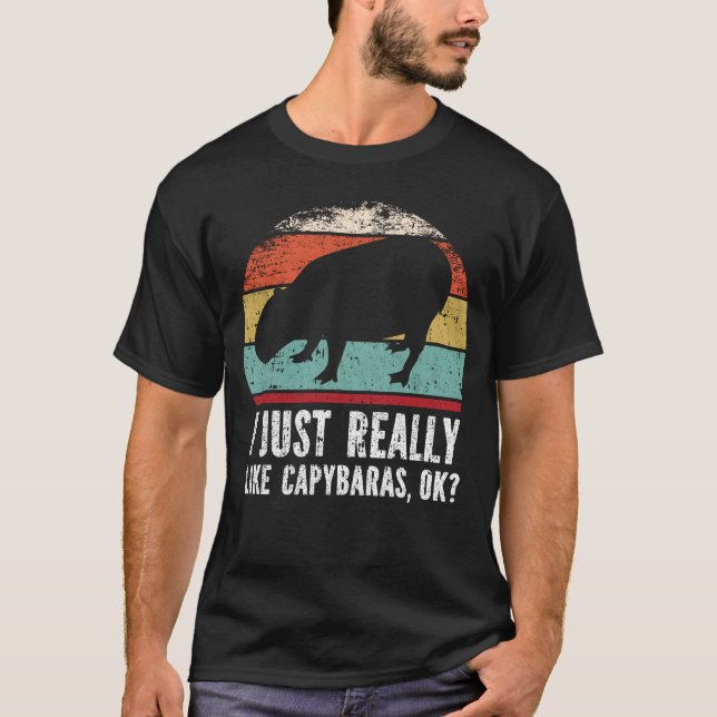 Funny I Just Really Like Capybaras OK? T-Shirt (Front)