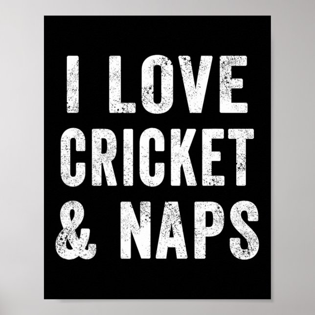 Funny I Love Cricket And Naps Bearded Cricket Dad  Poster (Front)
