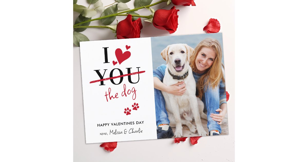 Funny I Love The Dog Valentines Custom Pet Photo Holiday Card | Zazzle