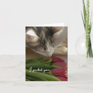 Funny I Love You from the Cat Card