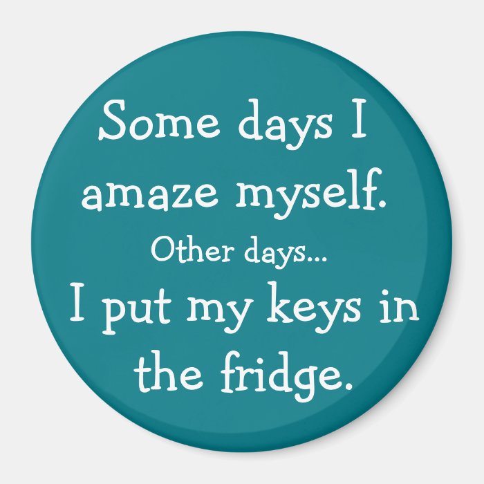 Funny I Put My Keys in the Fridge Round Zazzle