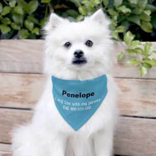 Funny I Still Live with My Parents Blue Pet Bandana Collar