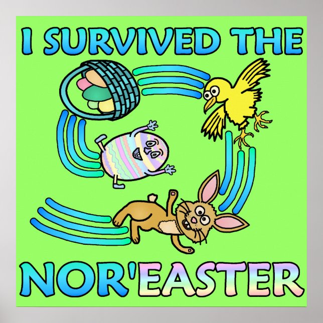 Funny I Survived the Nor'Easter Poster (Front)