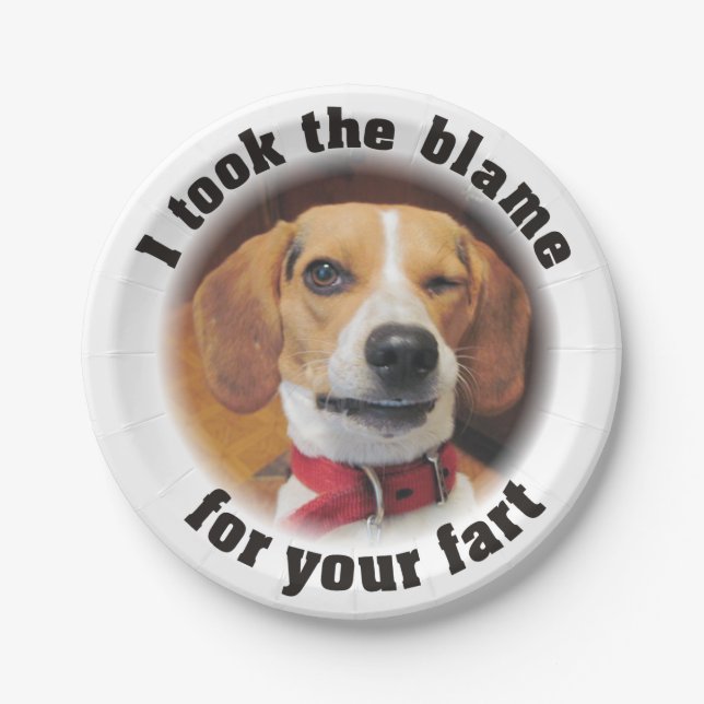 Funny I took the blame for your fart Paper Plates (Front)