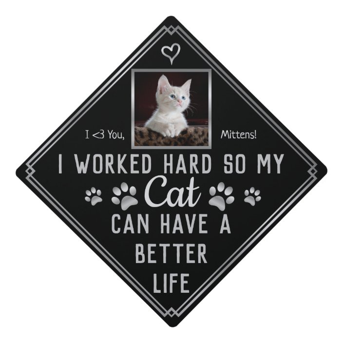 Funny I Worked Hard So My Cat Can Have Better Life Graduation