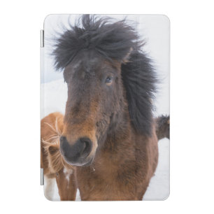 Funny Icelandic Horse Portrait iPad Mini Cover