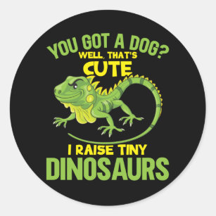 Funny Iguana Joke Dinosaurs Lizard Reptile Fun Classic Round Sticker