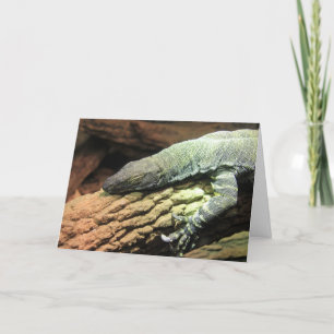 Funny Iguana, Over the Hill birthday card