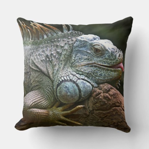 Funny Iguana Throw Pillow