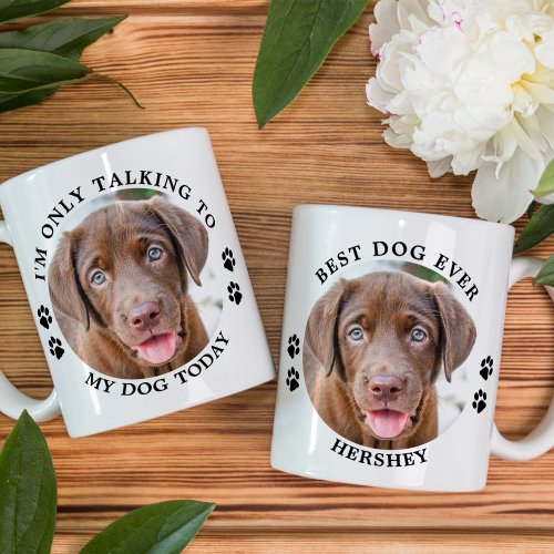 Funny Im Only Talking To My Dog Custom Pet Photo  Coffee Mug