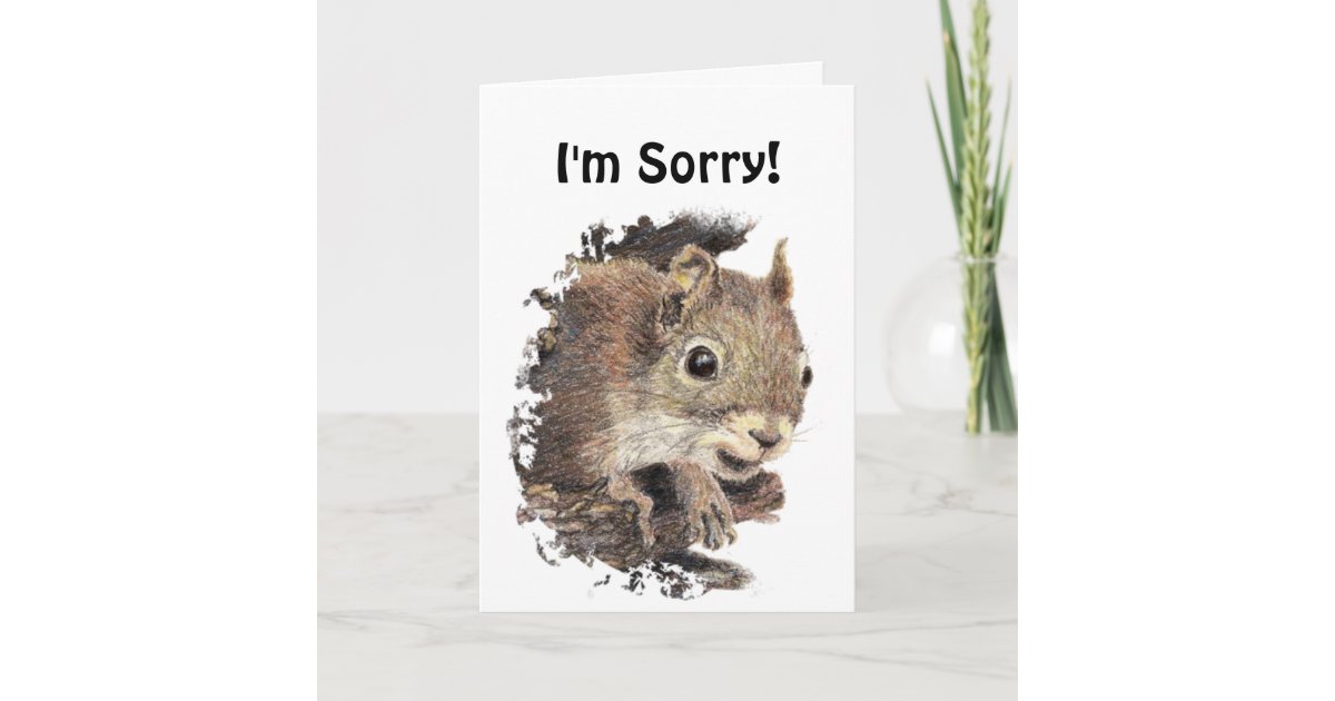 Funny I'm Sorry, Forgive Me with Cute Squirrel Thank You Card | Zazzle