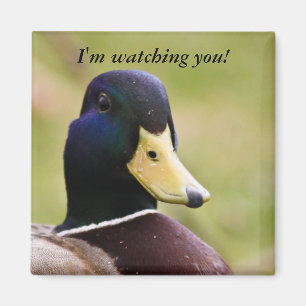 Funny I'm Watching You Duck Fridge Magnet