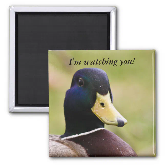 Funny I'm Watching You Duck Fridge Magnet