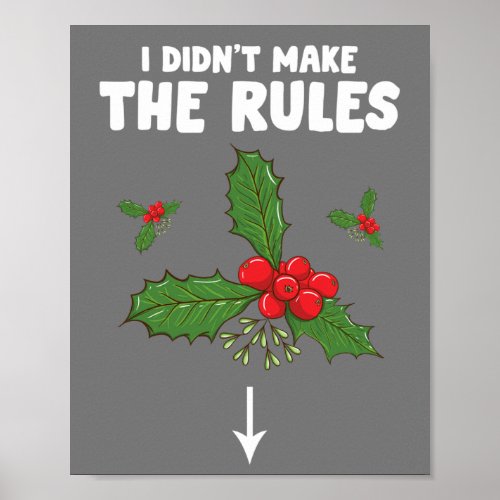Funny Inappropriate Christmas Adult I Didnt Make Poster
