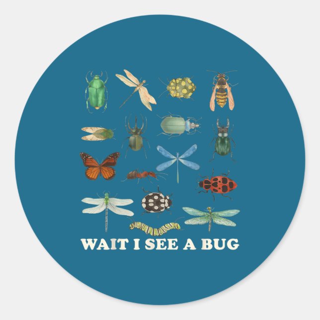 Funny Insect Quote Wait I See A Bug Idea  Classic Round Sticker (Front)