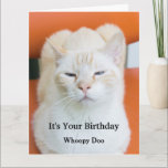 Funny Insulting Sarcastic Cat Birthday Card<br><div class="desc">If you need a birthday card to just share your oh joyfulness to the Birthday person, Let the mean mugging kitty show the birthday person the excitement of their day. All text is completely customizable so if you want it to be left blank, add more, or get rid of text...</div>