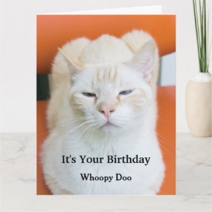 Funny Insulting Sarcastic Cat Birthday Card