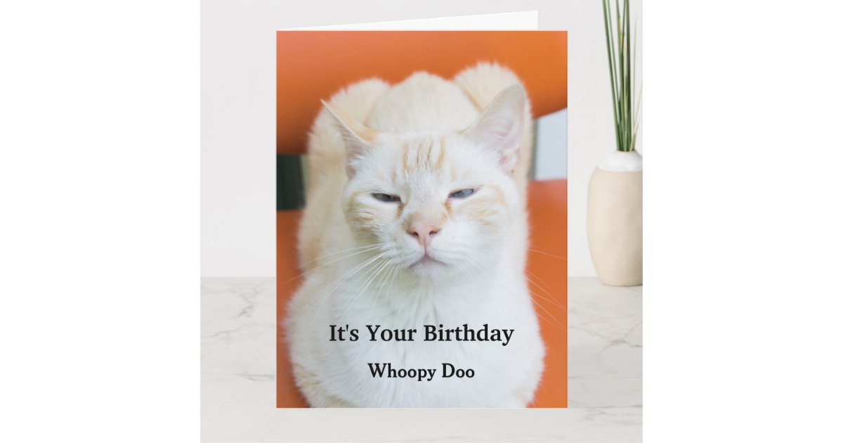 Funny Insulting Sarcastic Cat Birthday Card | Zazzle