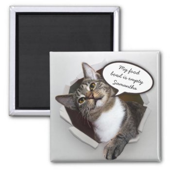 Funny Interrupting Cat Personalized Message Magnet by DippyDoodle at Zazzle