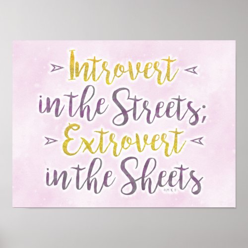 Funny Introvert Streets Extrovert Sheets Humor Poster