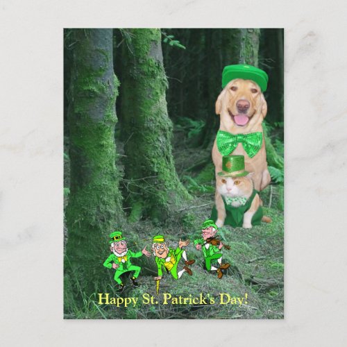 Funny Irish Dog Cat  Leprechauns Postcard