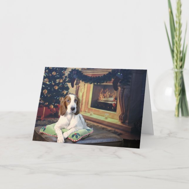 Funny Irish Red and White Setter Holiday Card (Front)