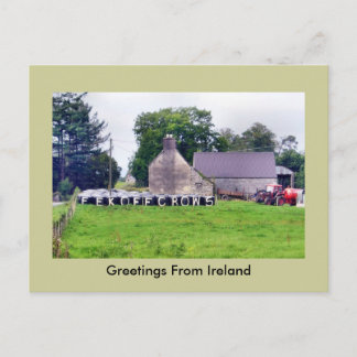 Funny Irish Scarecrow Postcard