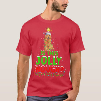 Funny Is This Jolly Enough Golden Retriever Christ T-Shirt