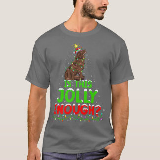 Funny Is This Jolly Enough Newfoundland Dog Christ T-Shirt