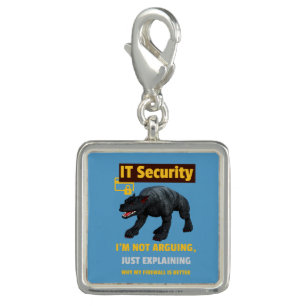 Funny IT Security Explaining Tech Humor Design Charm