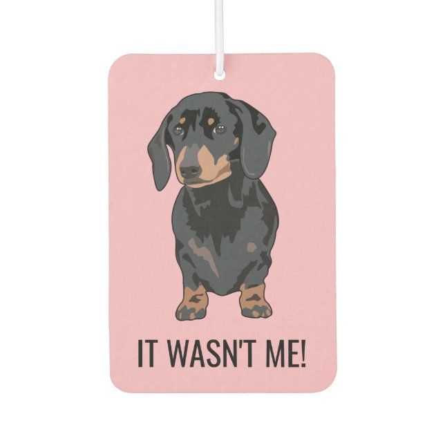 Funny It Wasn't Me Pet Dachshund Dog Car Air Freshener (Front)