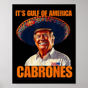 Funny Its Gulf Of Usa America Cabrones 2025 Americ Poster