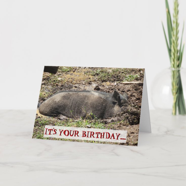 Funny It's Your Birthday Go Hog Wild Card | Zazzle