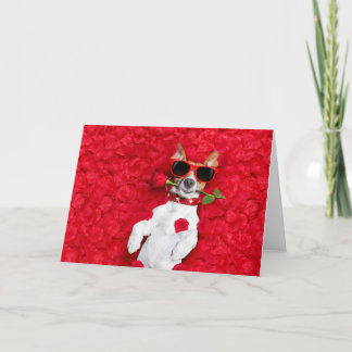 Funny Jack Russel Dog Valentines Day Card