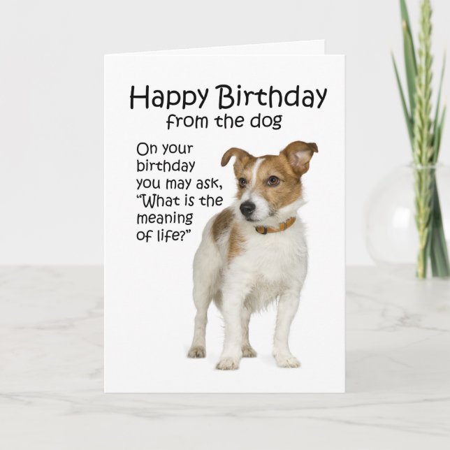 Funny Jack Russell Terrier Birthday Card (Front)