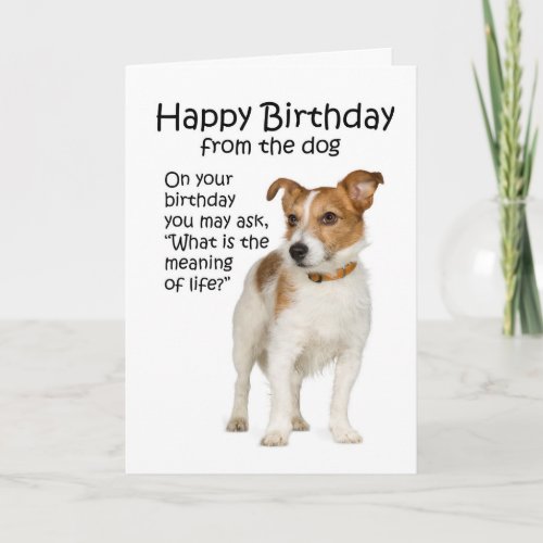 Funny Jack Russell Terrier Birthday Card