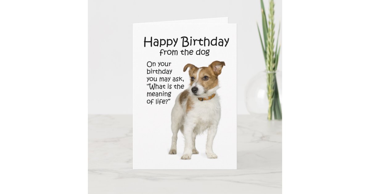 Funny Jack Russell Terrier Birthday Card | Zazzle