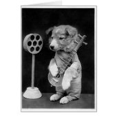 Funny JACK RUSSELL Terrier dog playing banjo (Front)