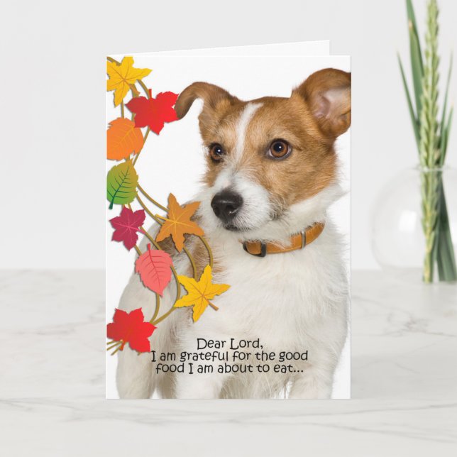 Funny Jack Russell Thanksgiving Card (Front)