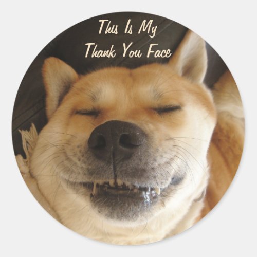 funny Japanese akita with cute all occasions Classic Round Sticker