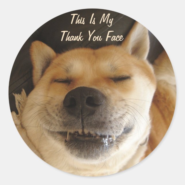 funny Japanese akita with cute all occasions Classic Round Sticker (Front)
