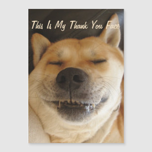 funny Japanese akita with cute smile thank you