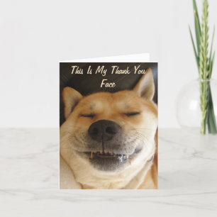 funny Japanese akita with cute smile thank you