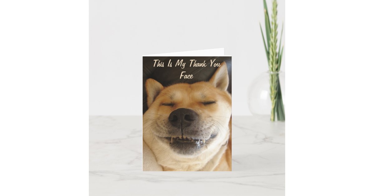 thank you dog smiling
